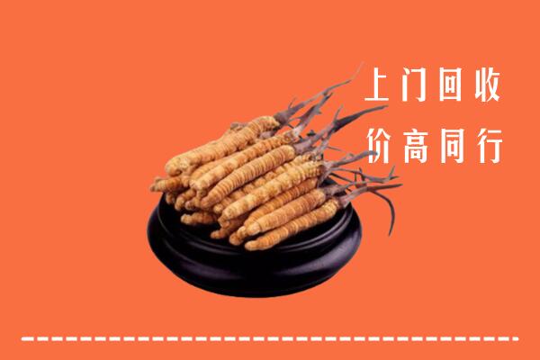 高价求购：义马市回收散虫草