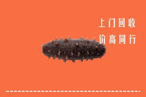 高价求购：义马市回收海参