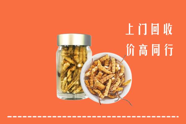收购行情：义马市回收冬虫夏草