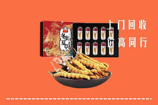 收购行情：义马市回收虫草